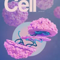 کلاس ریاضی و علوم پایه ابتدایی و دوره اول متوسطه|خدمات آموزشی|رشت, معلم|دیوار