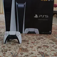 ps 5 fat