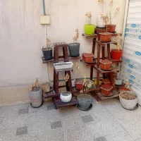استندوگلدان
