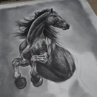 سفارش سیاه قلم و مدادرنگی