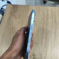 iphone 13pm|موبایل|شیراز, تندگویان|دیوار