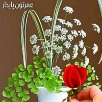 نظافتچی منزل وراه پله تمام نقاط تهران اقاهستم