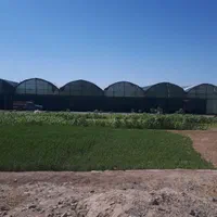 مجموعه گلخانه ای،کشاورزی و دامپروری صنعتی