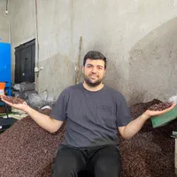 پخش کشمش حلوایی بیدانه مویز پلویی آفتاب خشک فخری|خوردنی و آشامیدنی|تاکستان, |دیوار