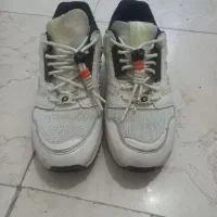 کتونی zx اورجینال