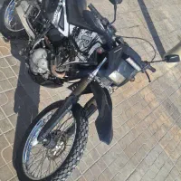 تریل روان اصلی