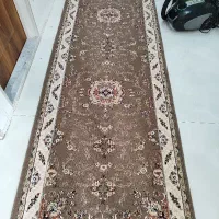 جا لباسی  درحد نو|بندرخت و رخت‌آویز|مشهد, خواجه ربیع|دیوار