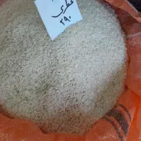 تهیه و توزیع برنج آستانه اشرفیه،هندی و پاکستانی|خوردنی و آشامیدنی|آستانه اشرفیه, |دیوار