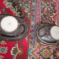 باند هکتور جفت|صوتی و تصویری|مشهد, توس فردوسی|دیوار