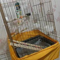 قفس پرنده|لوازم جانبی حیوانات|اسلامشهر, مظفریه|دیوار