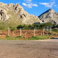 ۲۴۰۰متر زمین سنددار دونبش در ۵۰۰متری شهر روانسر|فروش زمین و ملک کلنگی|روانسر, |دیوار