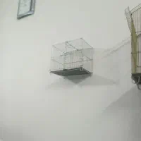 قفس|لوازم جانبی حیوانات|سبزوار, چهارراه فرودگاه|دیوار