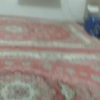 فروش فرش اصلی وپشتی|فرش|سقز, |دیوار