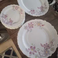 سرویس آرکوپال ۱۲نفره|ظروف سرو و پذیرایی|تهران, شهرک رضویه|دیوار