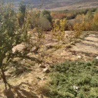 فروش پونصد متر زمین فروشی|فروش زمین و ملک کلنگی|چیتاب, |دیوار