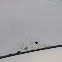 سمند ال ایکس مدل 90|خودرو سواری و وانت|رزن, |دیوار