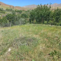 فروش زمین 145 متری