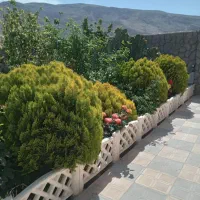 فروش یا معاوضه یک قطعه باغ 800 متری|فروش زمین و ملک کلنگی|شیراز, جمال آباد|دیوار