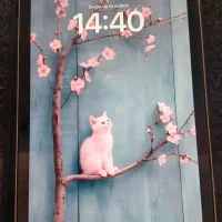 آیپد مینی 7 قیمت مناسب|تبلت|کرمان, |دیوار