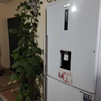 پتوس قلبی  برگ‌ پهن