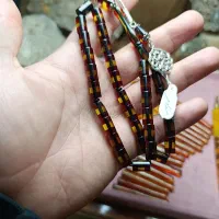 سندلوس قیچی بر زرد قرمز