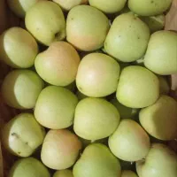 سیب اهر