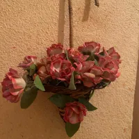 ظروف ودکوری|ظروف سرو و پذیرایی|رشت, فلسطین|دیوار