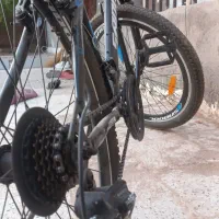 دوچرخه نو آک|دوچرخه، اسکیت، اسکوتر|تربتحیدریه, آسایش|دیوار