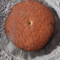 گاوجنگلی اصیل بانرگوساله 4ماهه و2ماه آبست|حیوانات مزرعه|رامیان, |دیوار