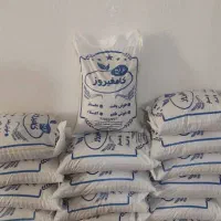 عرضه مستقیم خشکبار صدرا