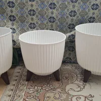 تعدادی گلدان