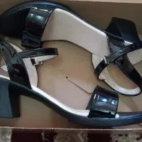 کفش شیک ومجلسی