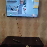 تلویزیون|تلویزیون و پروژکتور|قوچان, |دیوار