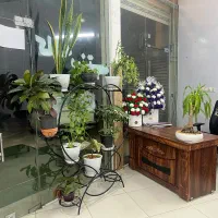 استخدام کبابی