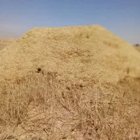 15  انبار بزرگ کاه