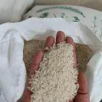 برنج طارم هاشمی فجر،آستانه