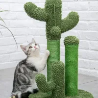 درخت اسکرچر و بازی گربه