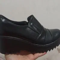 کفش نو|کیف، کفش، کمربند|اشنویه, |دیوار