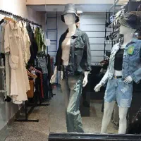 ۲ عدد مانکن