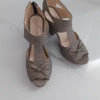 کفش مجلسی