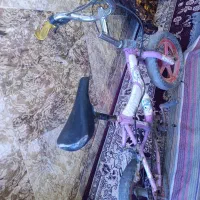 دوچرخه 12|دوچرخه، اسکیت، اسکوتر|سوسنگرد, |دیوار