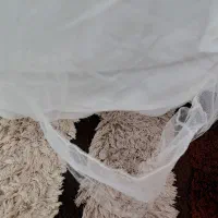 لباس عروس دخترانه|لباس|مشهد, عامل|دیوار