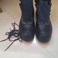 کفش کار نو