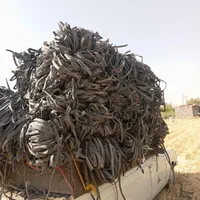 خرید و فروش انواع طیف محمدرضا علیزاده