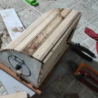 لونه پرنده میناب|لوازم جانبی حیوانات|میناب, |دیوار