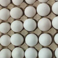 تخم مرغ تازه|خوردنی و آشامیدنی|پاکدشت, حصار امیر|دیوار