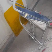 کالسکه انگلیسی