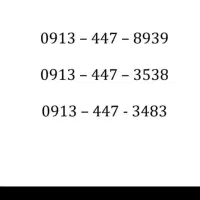0913-447-3538 دائمی