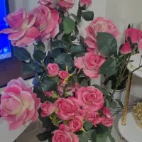گل و گلدان