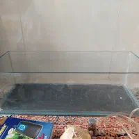 آکواریوم شیشه خم شرکتی با همه وسایلش